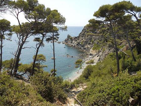 A 500 Metres Des Plages Et Du Port Du Brusc, Les Terrasses Des Embiez Avec Piscine Et Spa Six-Fours-les-Plages Exterior foto